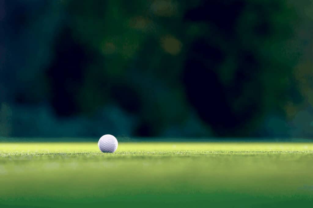 Golf Ball on Green