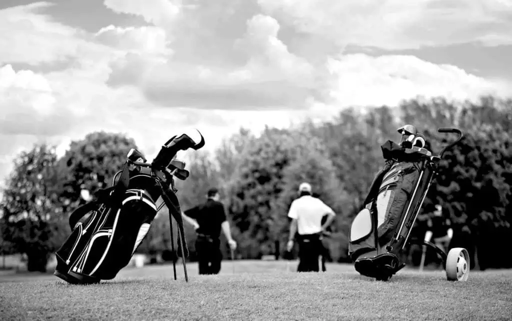 Two Golf Bags