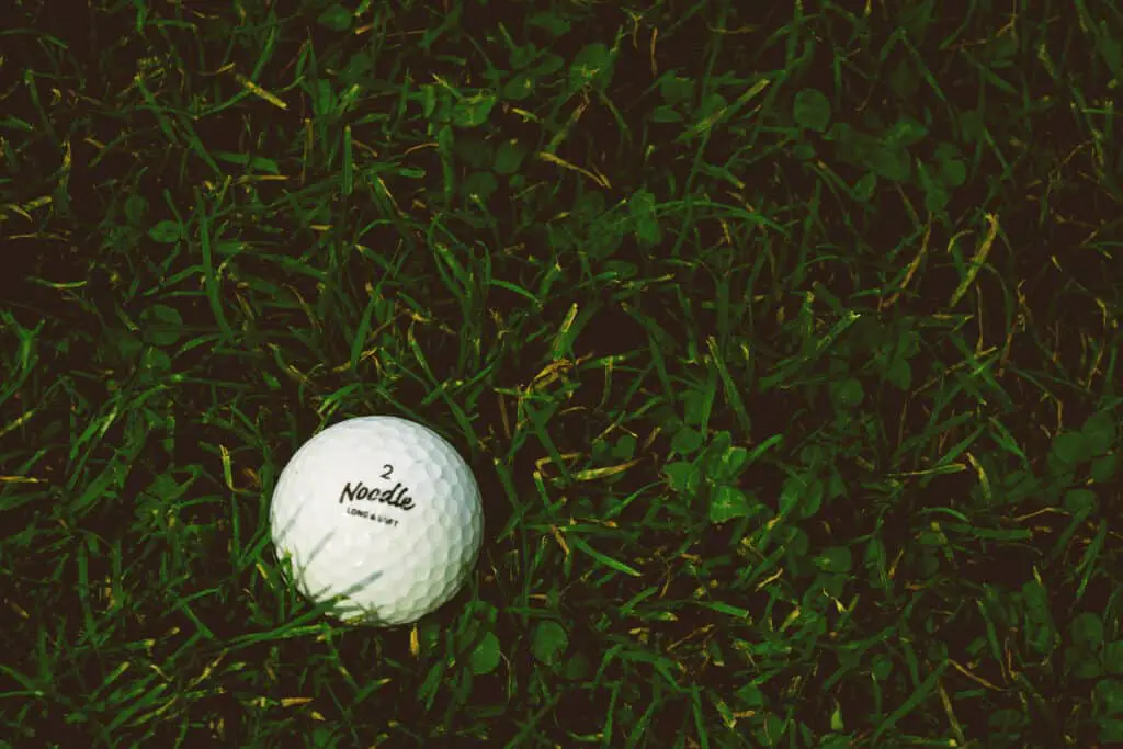 Noodle Golf Ball in Grass