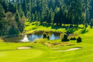 Tree Lined Green on Golf Course