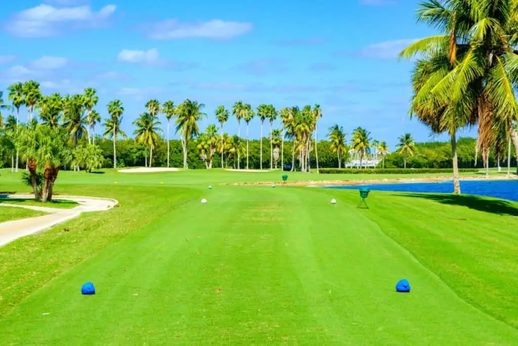 Tee Box in Florida Showing Blue Tees and White Tees leading toward a green fairway